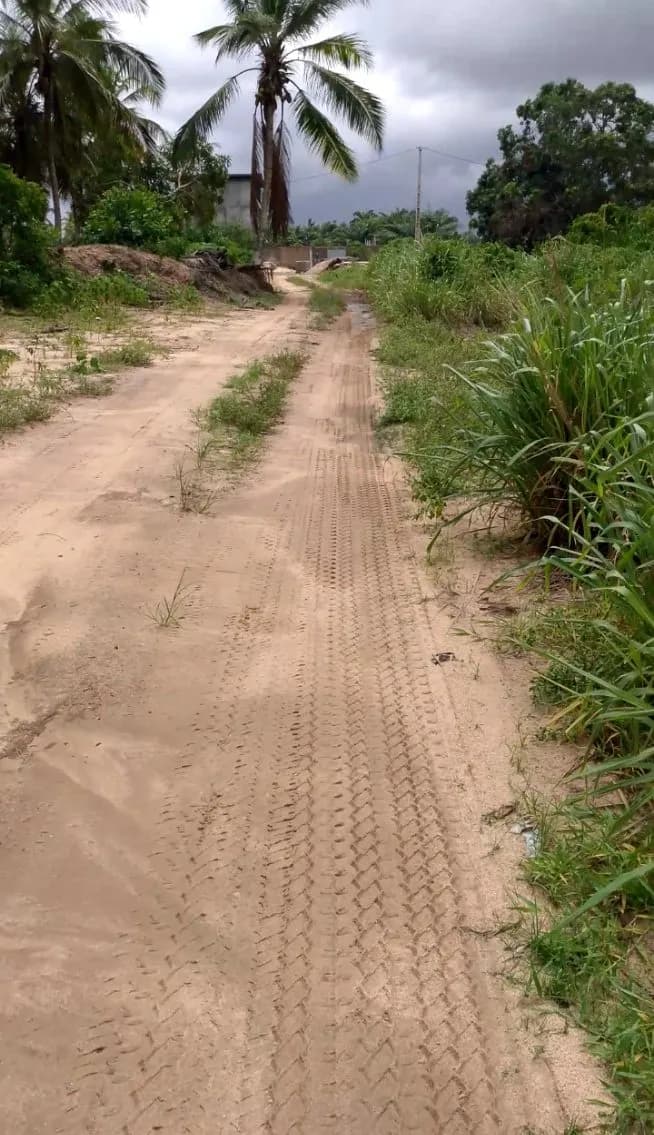 Terrain