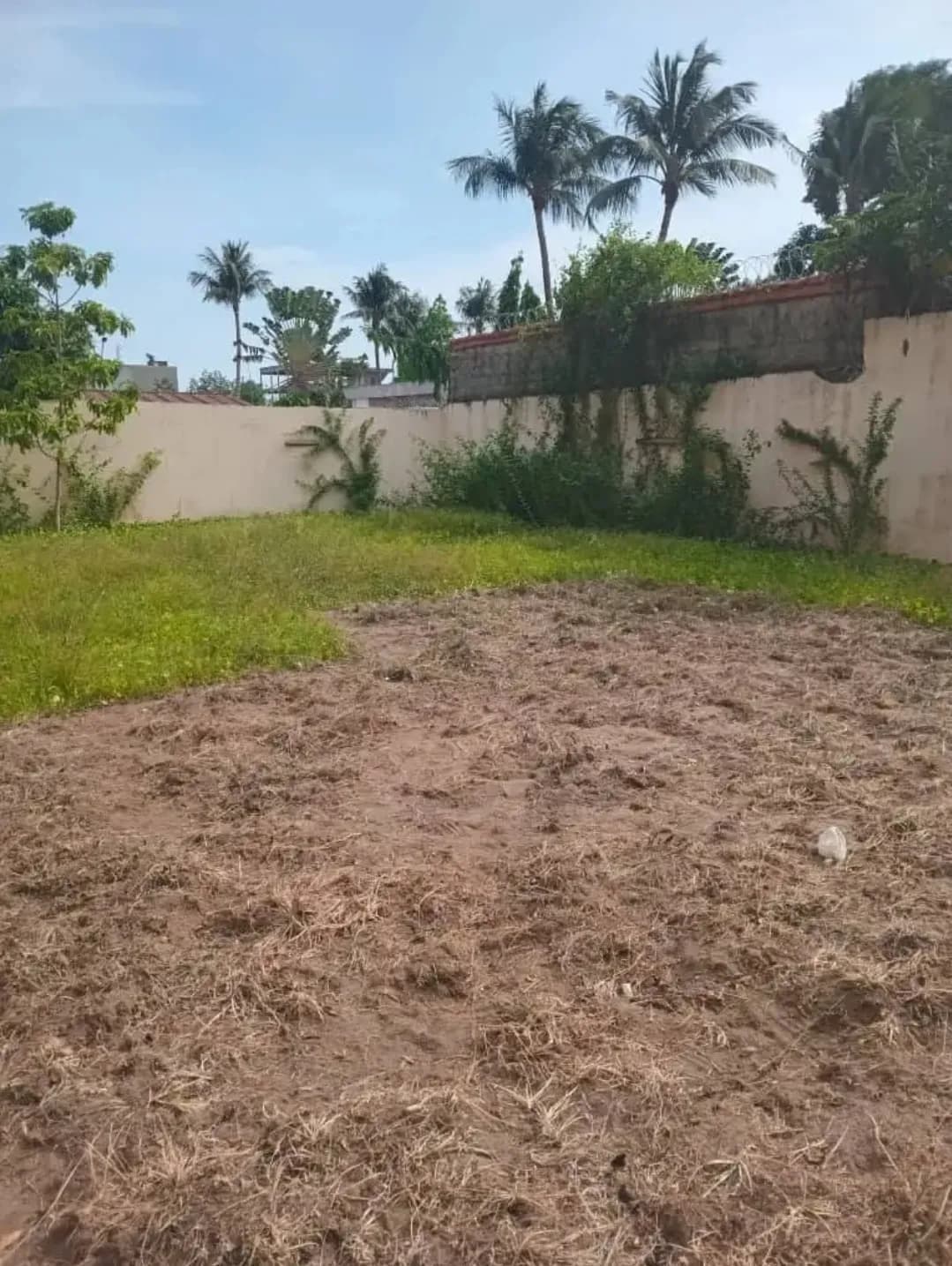 Terrain