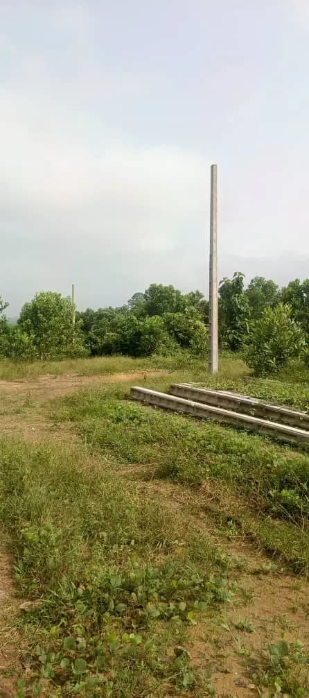 Terrain