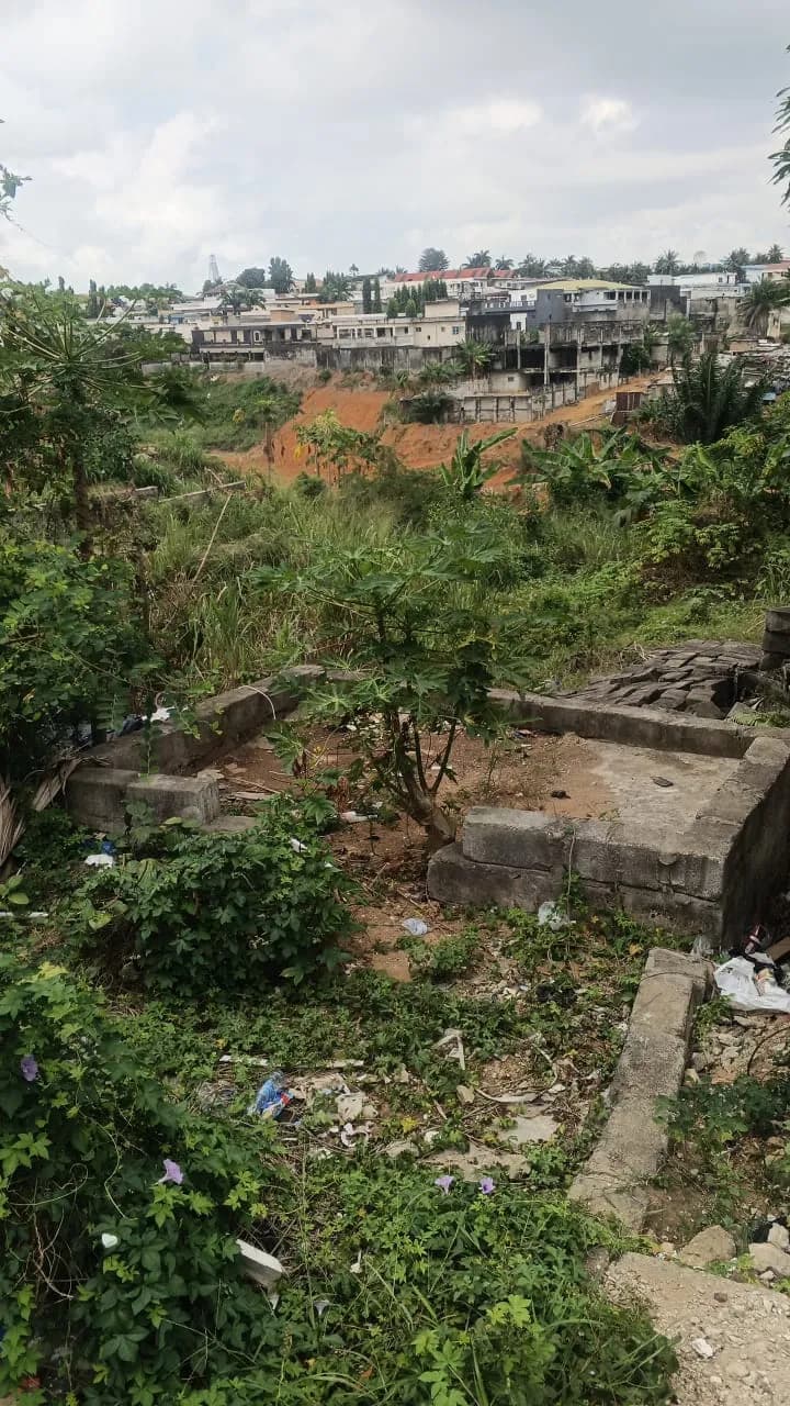 Terrain
