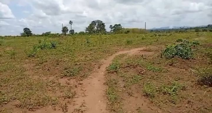 Terrain