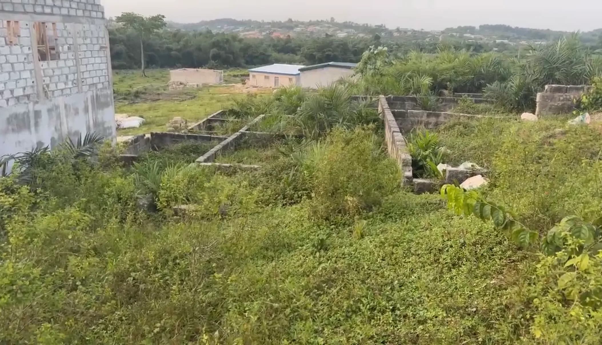 Terrain