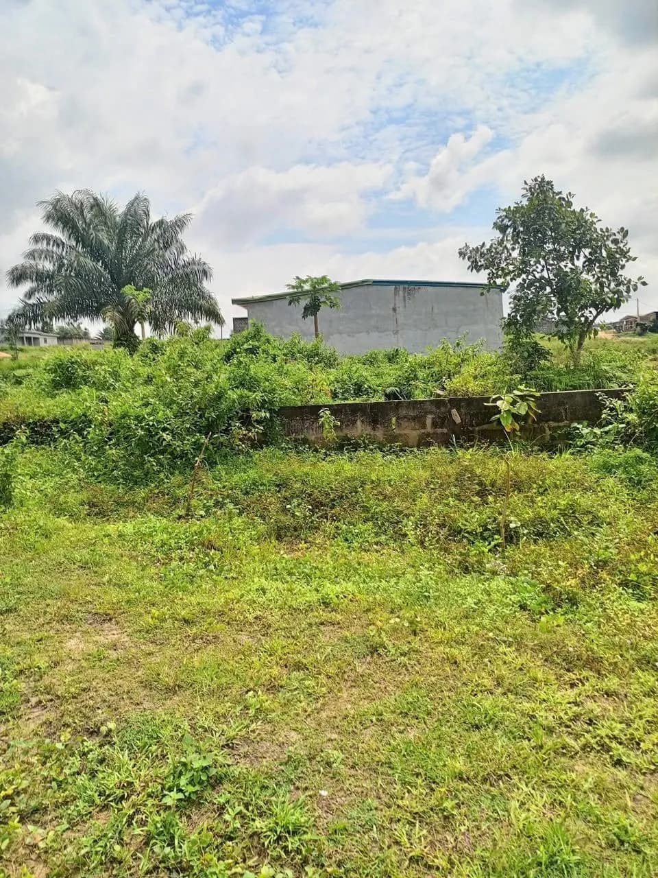 Terrain