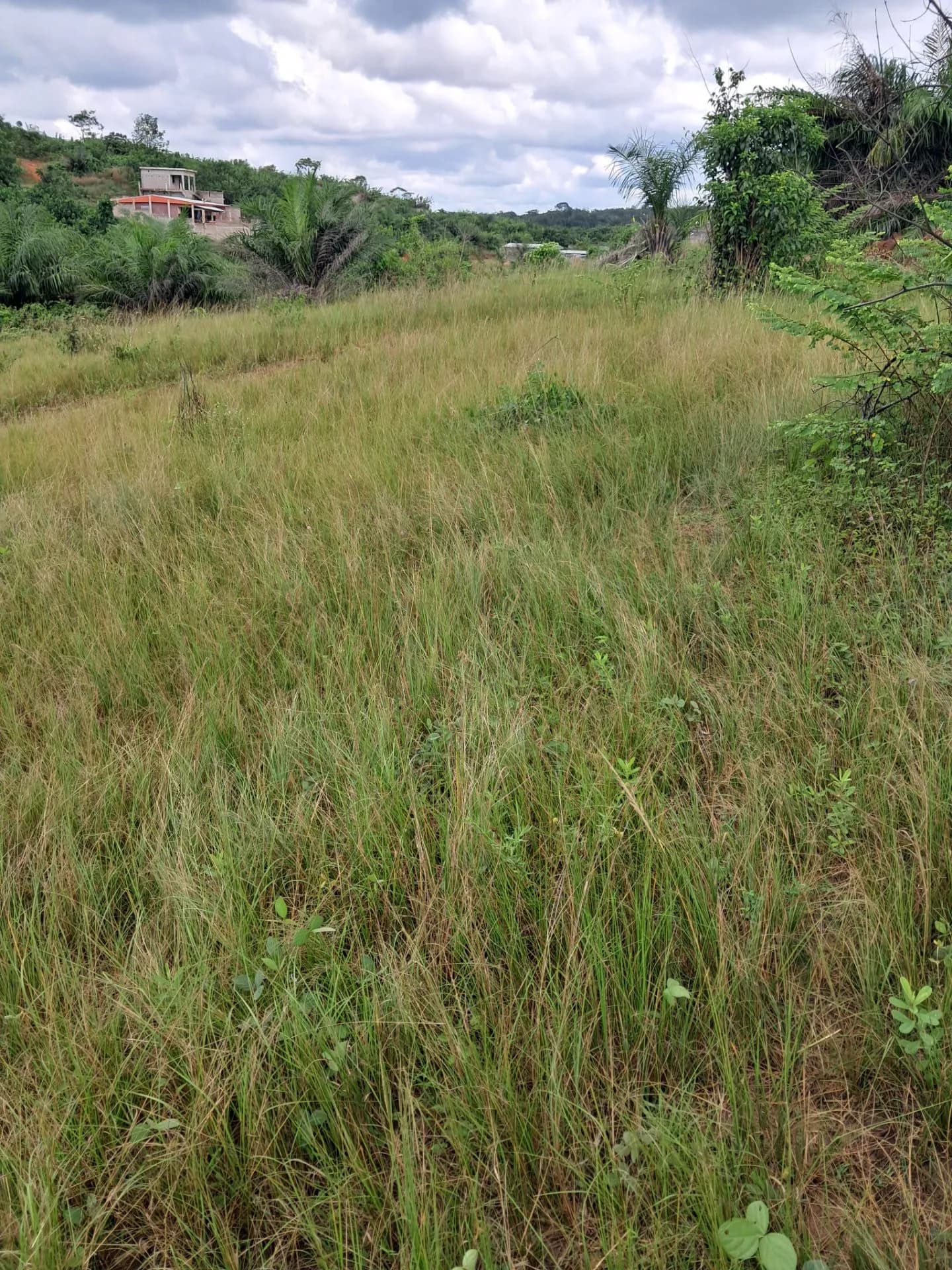 Terrain