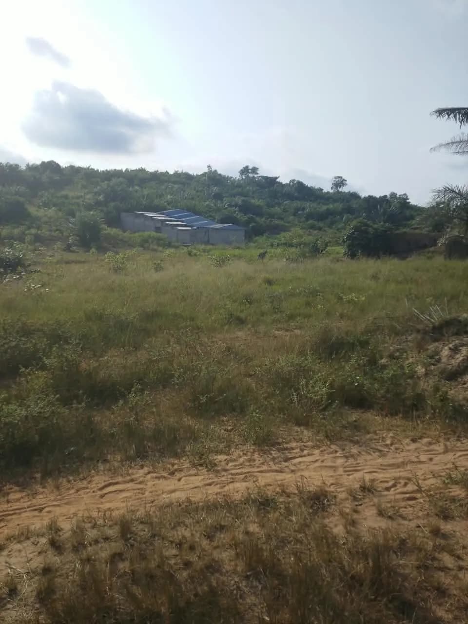 Terrain
