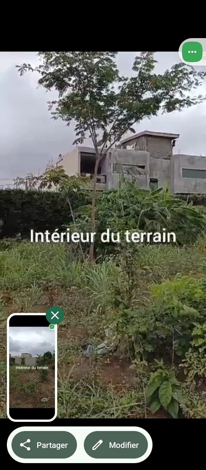 Terrain