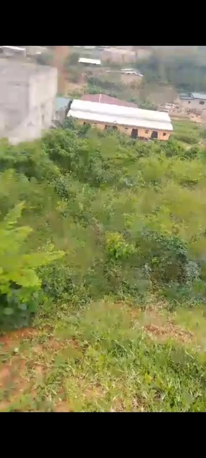 Terrain