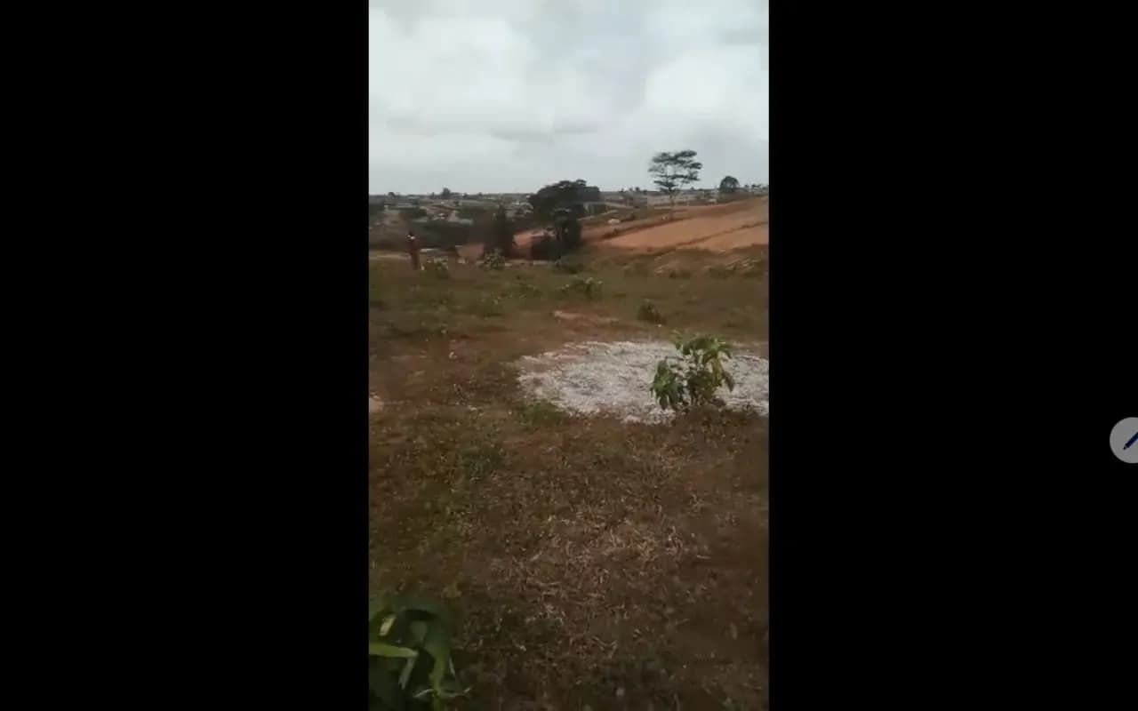 Terrain